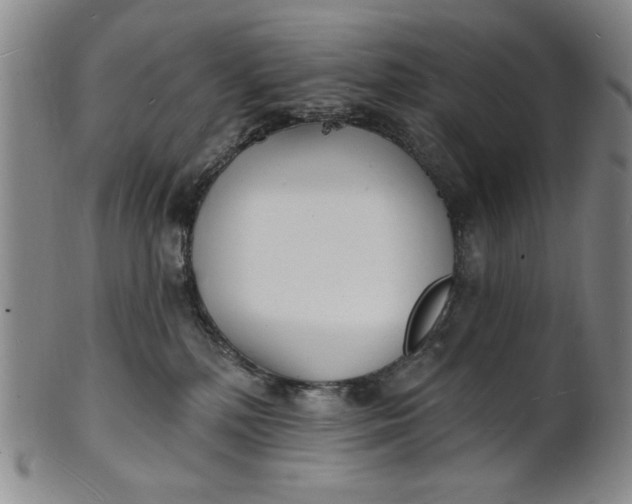 X0000102230232200808081354