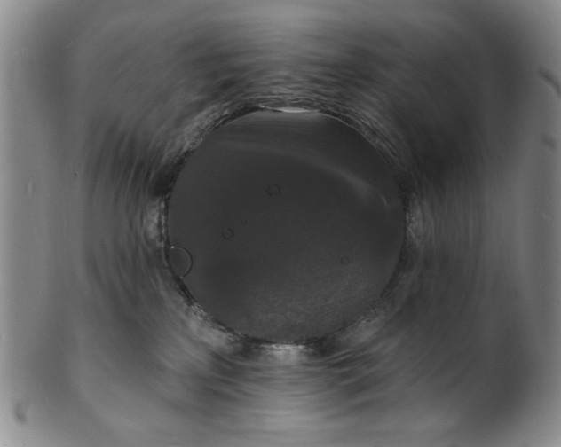 X0000102230233200808081354