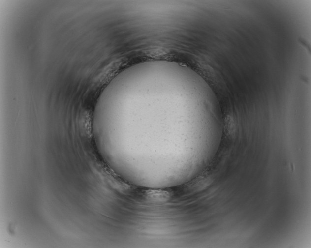 X0000102230234200808081354