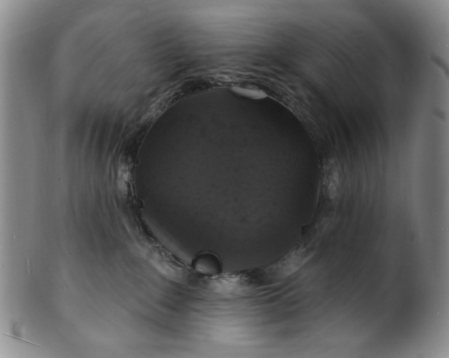 X0000102230235200808081354