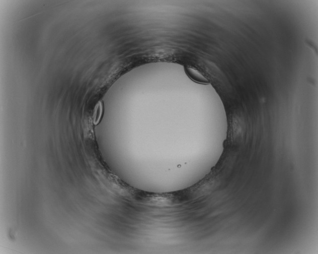 X0000102230236200808081354