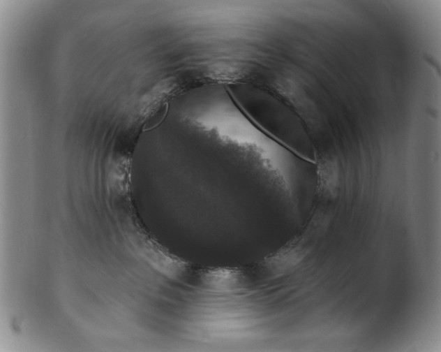 X0000102230237200808081354