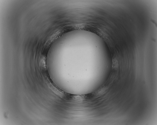 X0000102230238200808081354