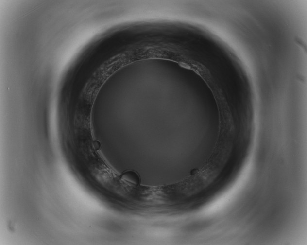 X0000102230239200808081354