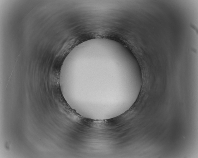 X0000102230240200808081354