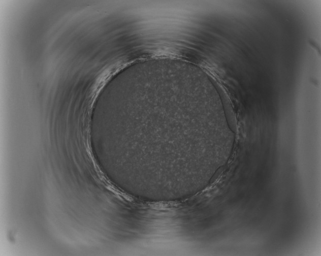 X0000102230241200808081354
