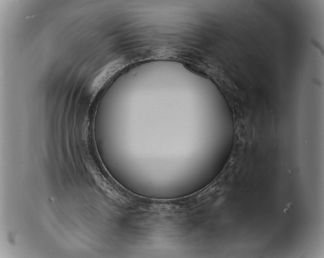 X0000102230242200808081354