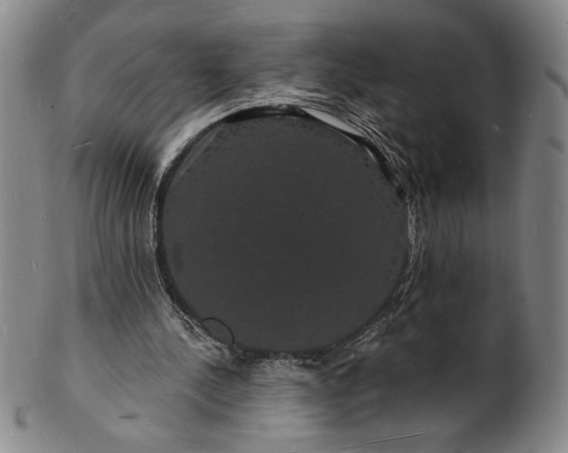 X0000102230244200808081354