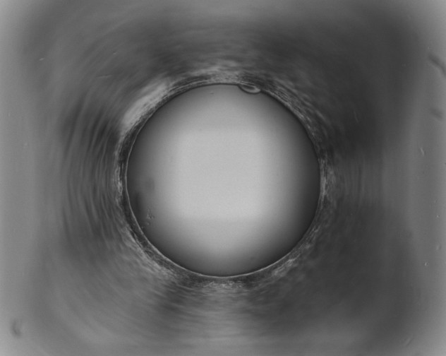 X0000102230245200808081354