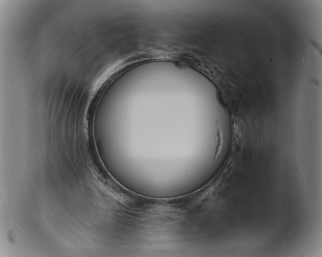 X0000102230246200808081354