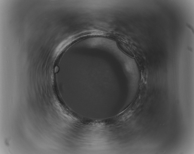 X0000102230247200808081354