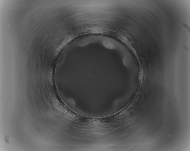 X0000102230249200808081354