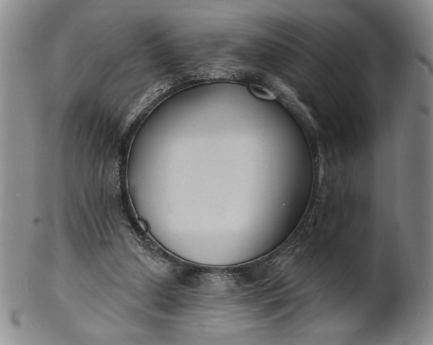 X0000102230250200808081354
