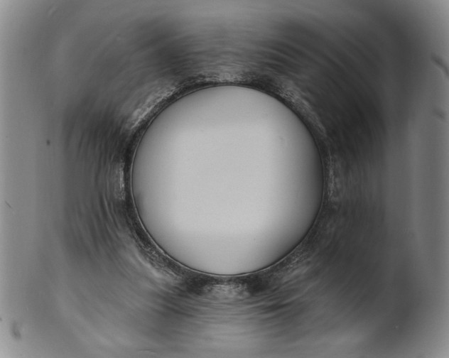X0000102230251200808081354