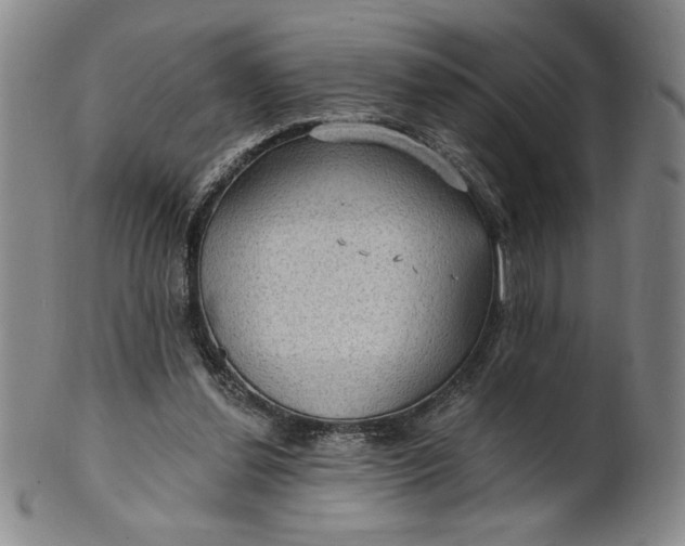 X0000102230252200808081354