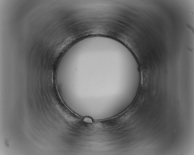 X0000102230253200808081354