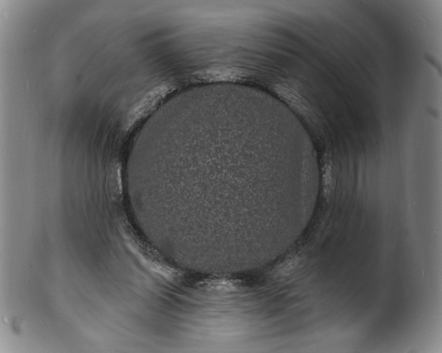 X0000102230254200808081354