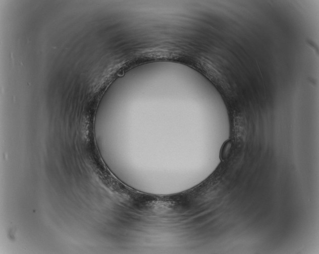 X0000102230255200808081354