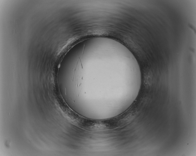 X0000102230256200808081354