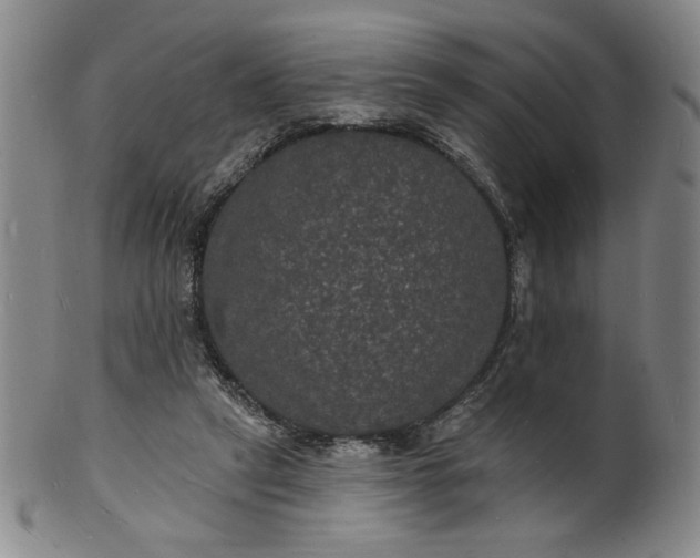 X0000102230257200808081354