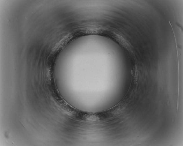X0000102230258200808081354