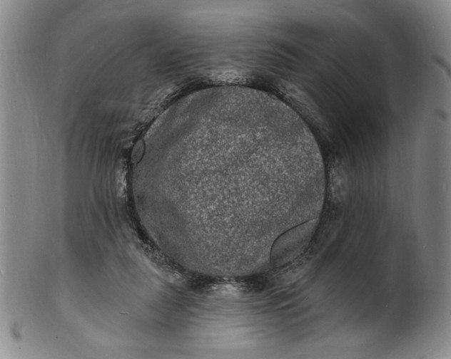 X0000102230259200808081354