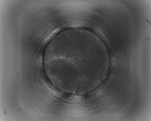 X0000102230260200808081354