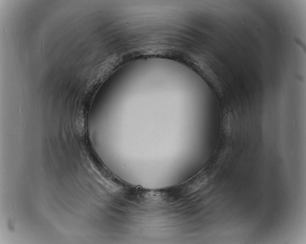 X0000102230261200808081354