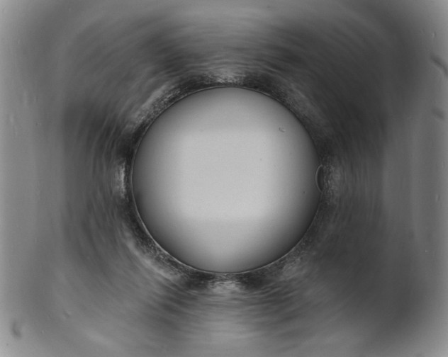 X0000102230262200808081354