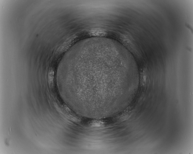 X0000102230263200808081354
