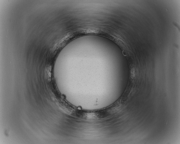 X0000102230264200808081354