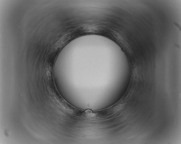 X0000102230265200808081354