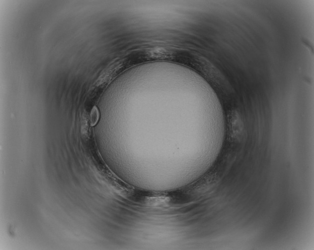 X0000102230266200808081354