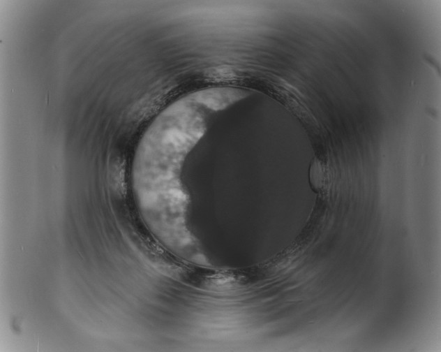 X0000102230267200808081354