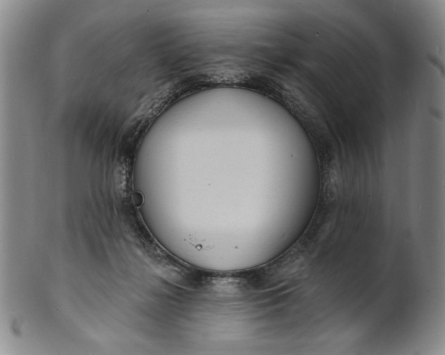 X0000102230268200808081354