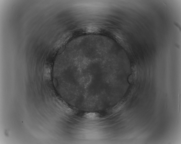 X0000102230269200808081354