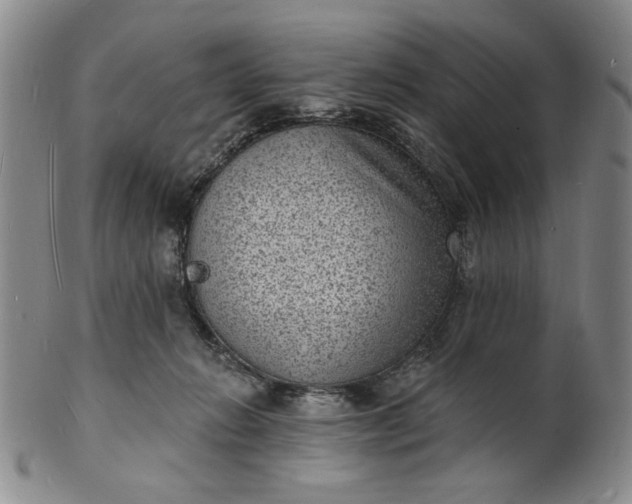 X0000102230270200808081354