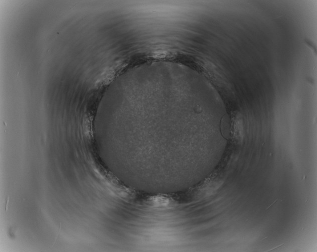 X0000102230272200808081354