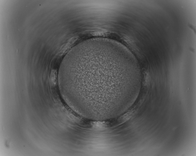 X0000102230273200808081354