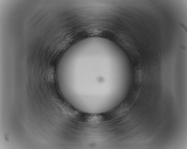 X0000102230274200808081354