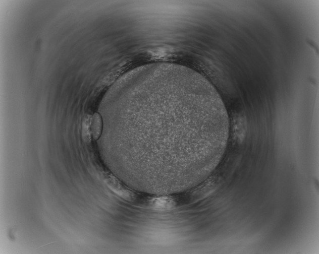 X0000102230275200808081354