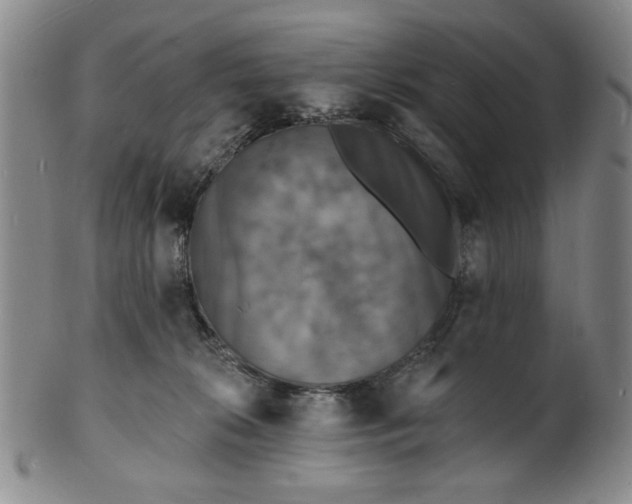 X0000102230276200808081354