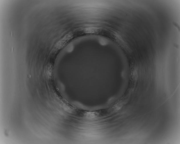 X0000102230277200808081354