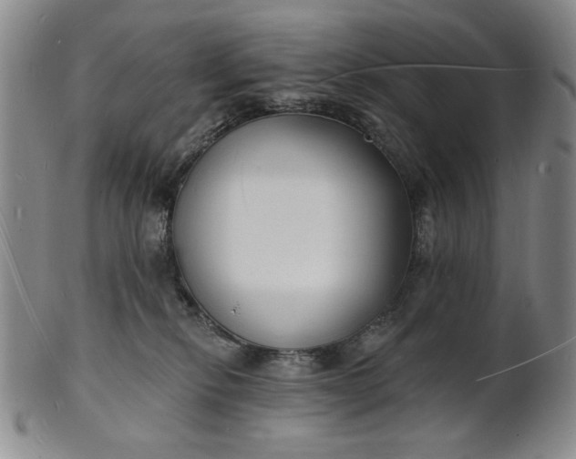 X0000102230278200808081354