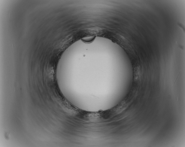 X0000102230279200808081354