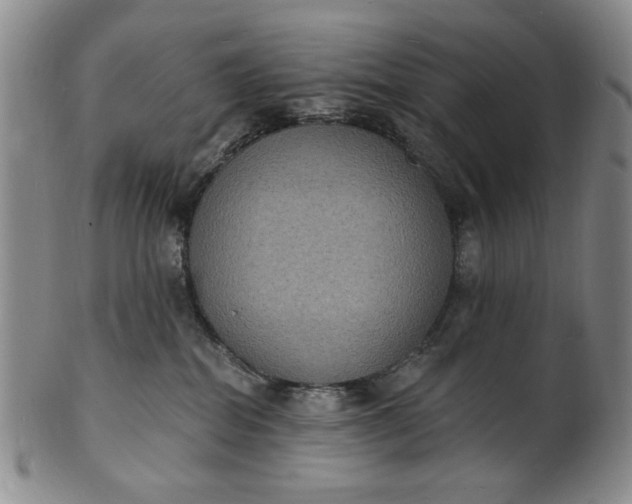 X0000102230282200808081354