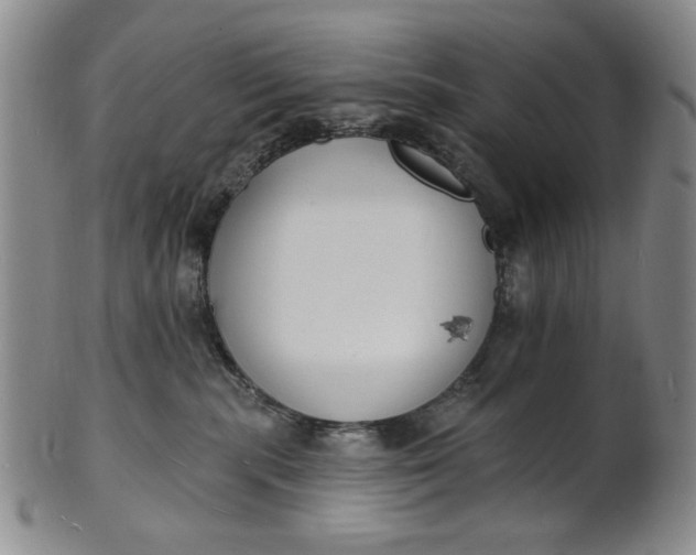 X0000102230283200808081354