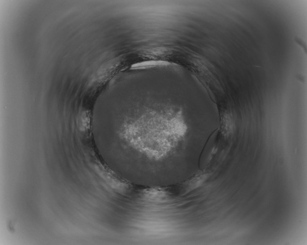 X0000102230284200808081354