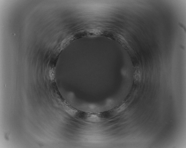 X0000102230285200808081354