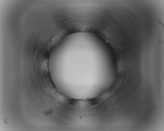 X0000102230286200808081354